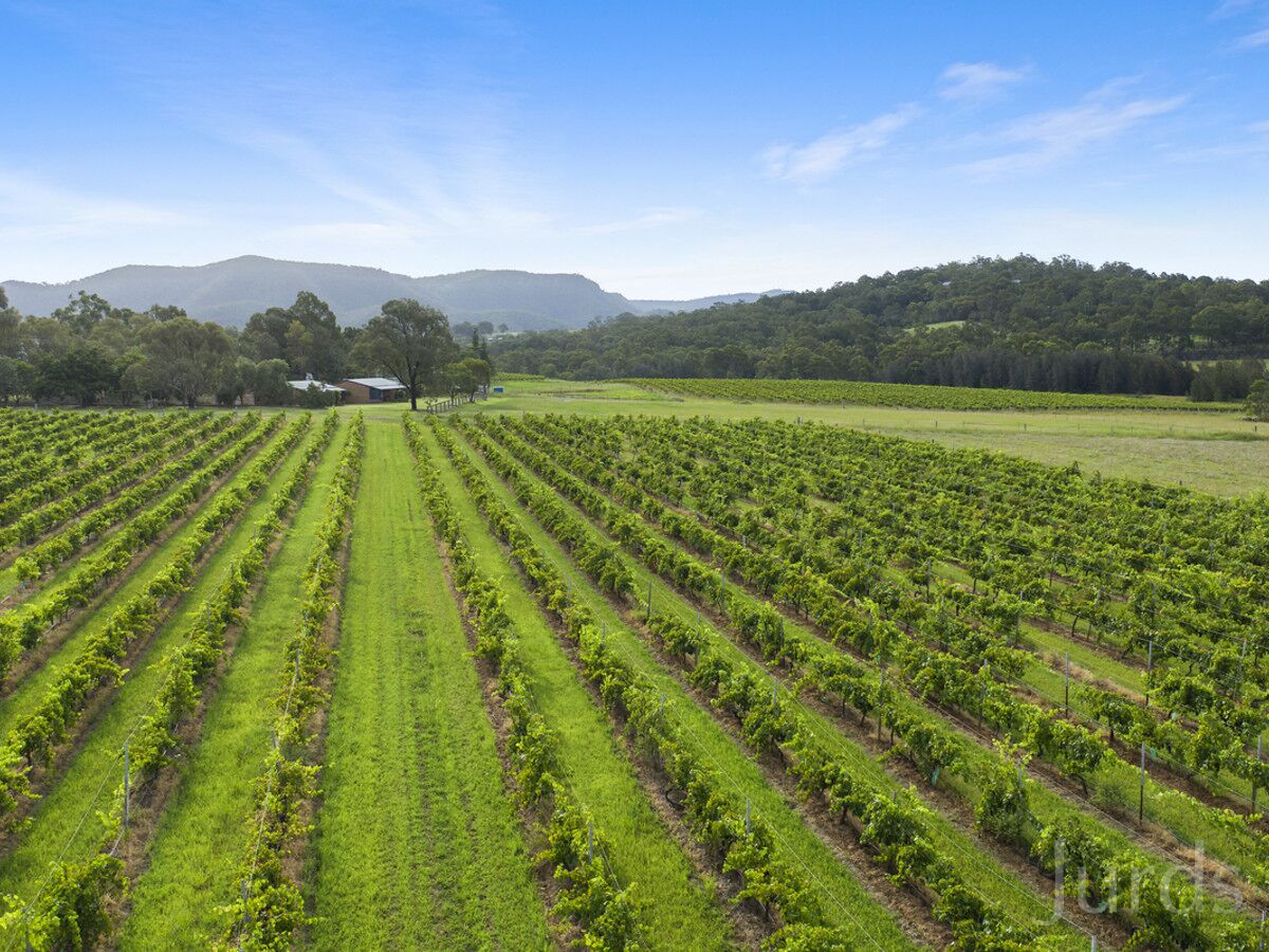 Pokolbin Farm Stay — image 24