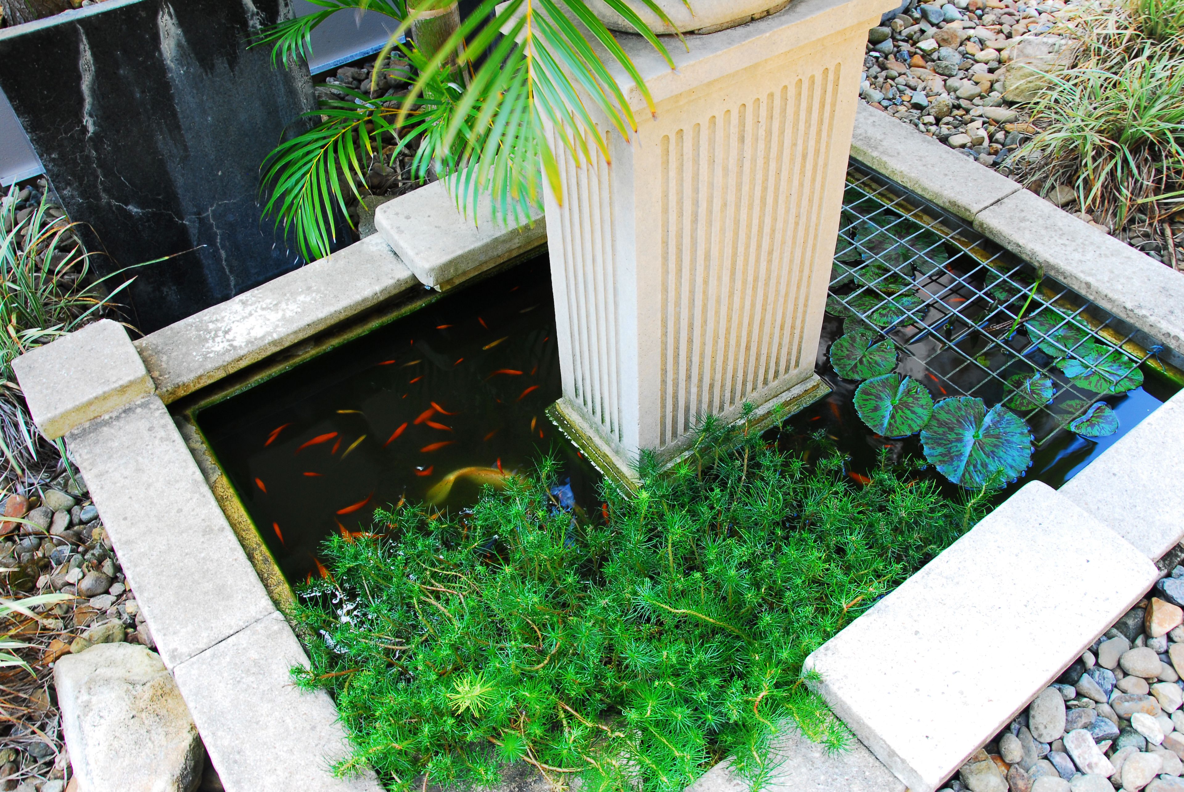 Montego Sands Resort — image 26