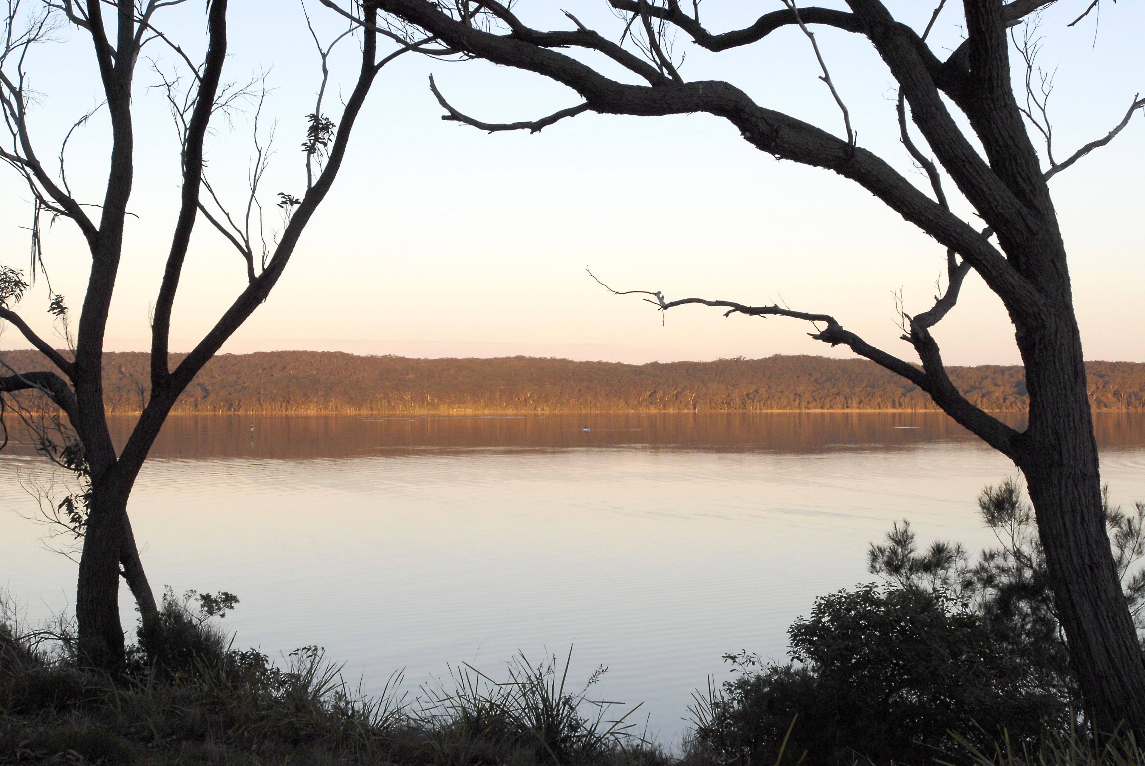 A tranquil lake with trees framing the view.