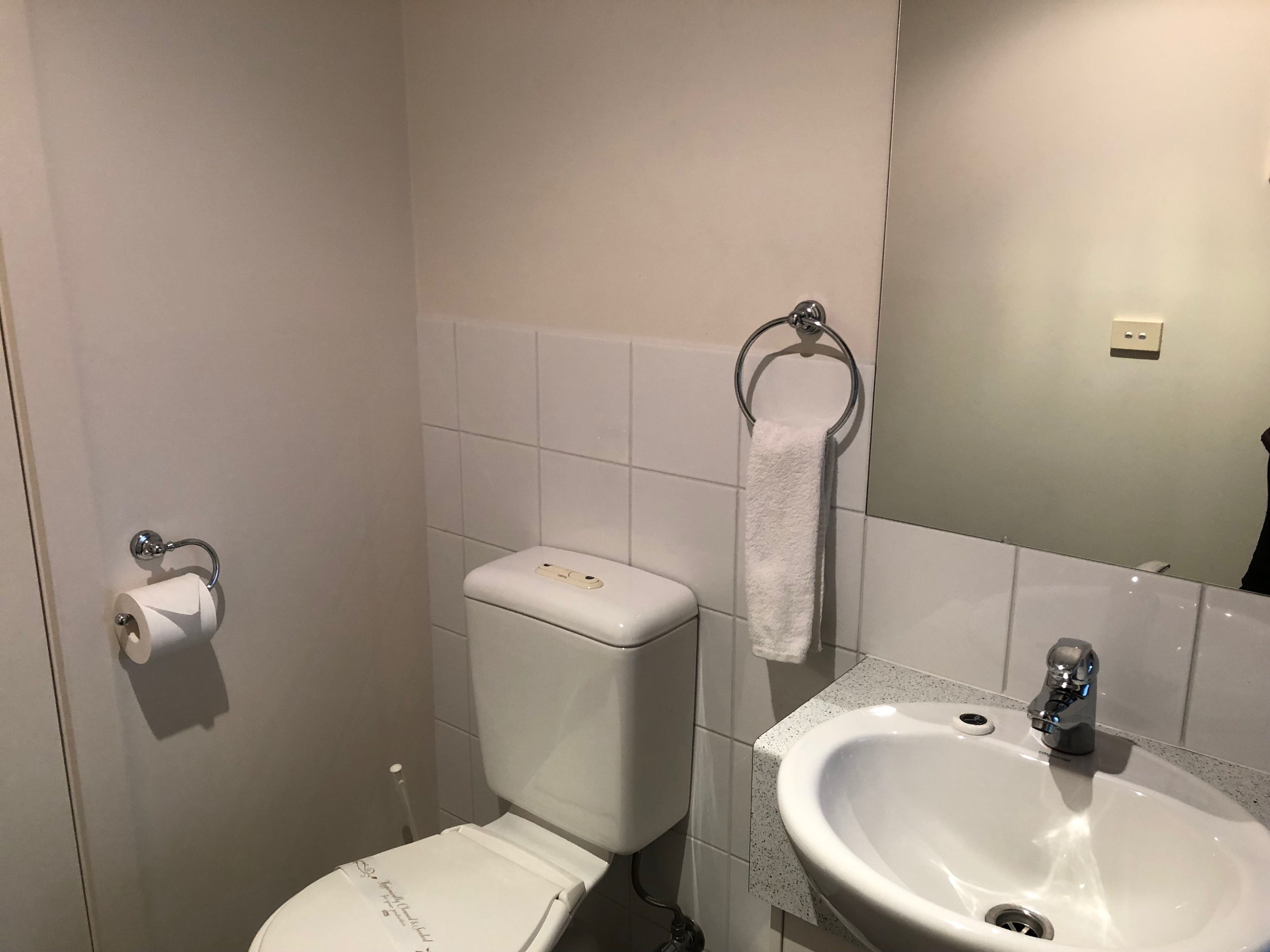 Un baño con inodoro, lavamanos y toallero.