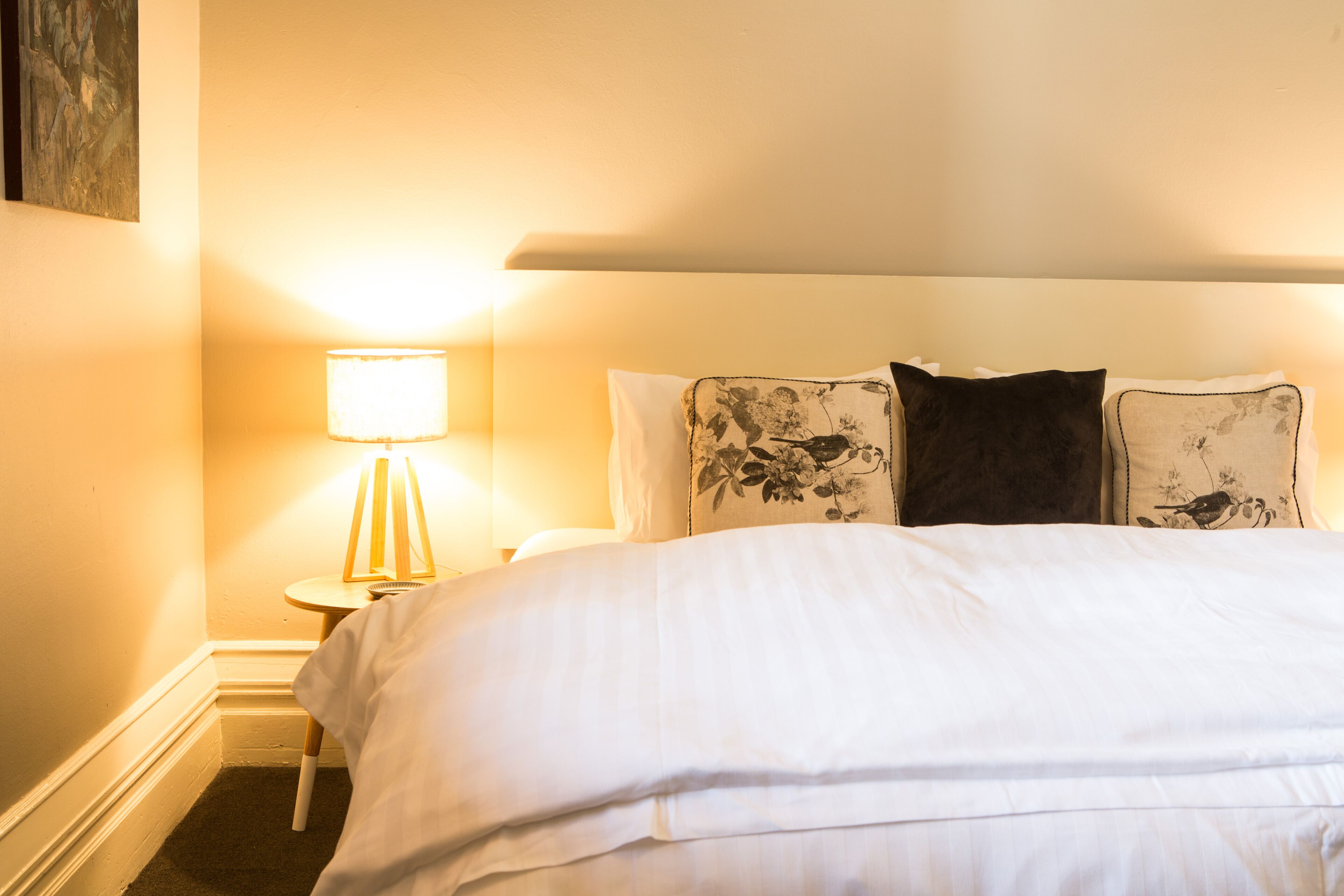 standard room, shared bathroom (king room) | hypo-allergenic bedding, minibar, cots/infant beds, free wifi