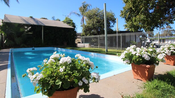 A swimming pool with potted flowers in the foreground, a covered structure in the background, and a fenced area with trees.
