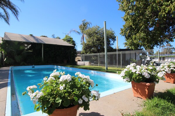 Outdoor pool, pool loungers