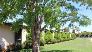A building with a large tree in front, a grassy lawn, and a clear sky.
