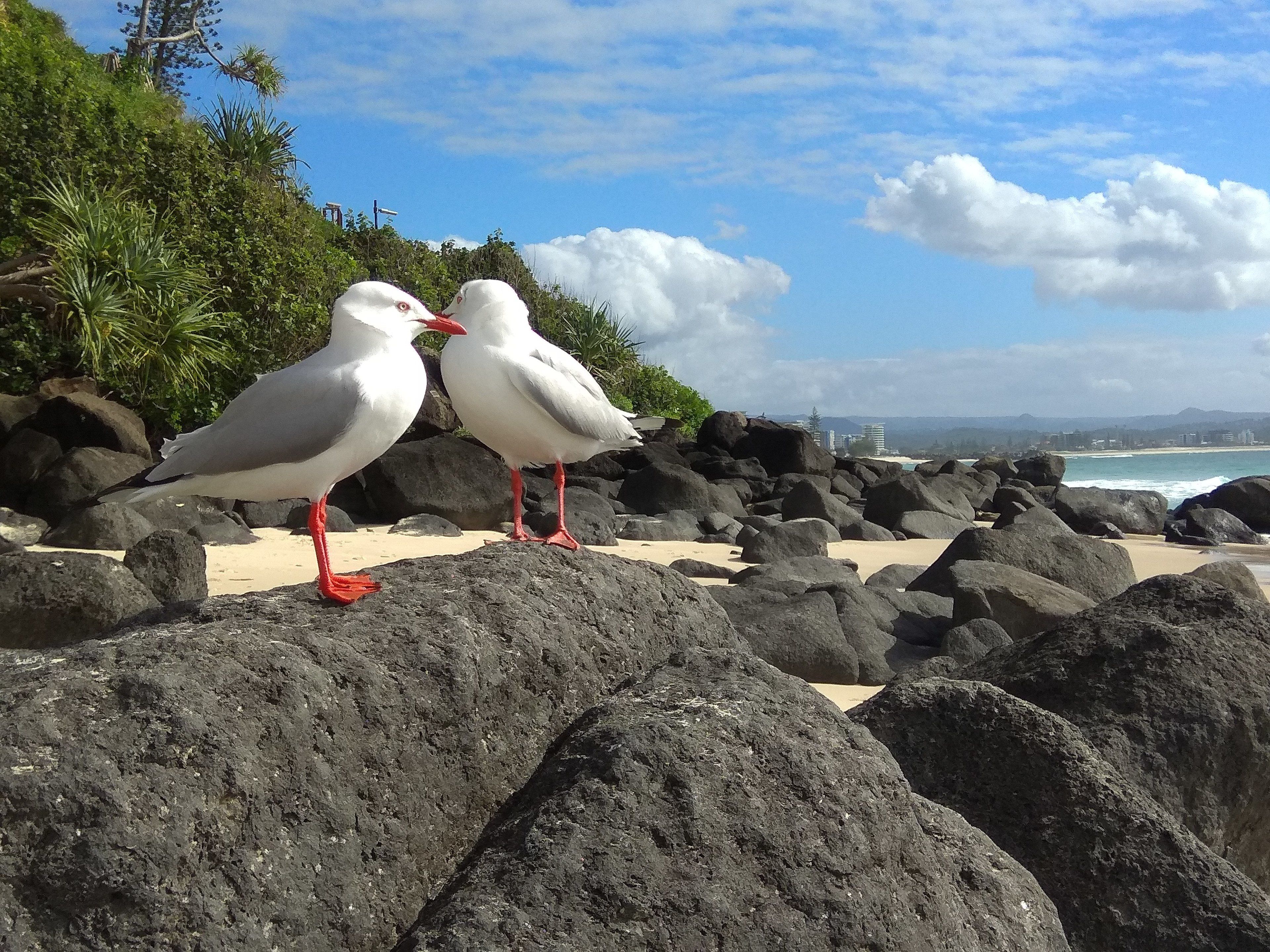 Meridian Tower — image 19