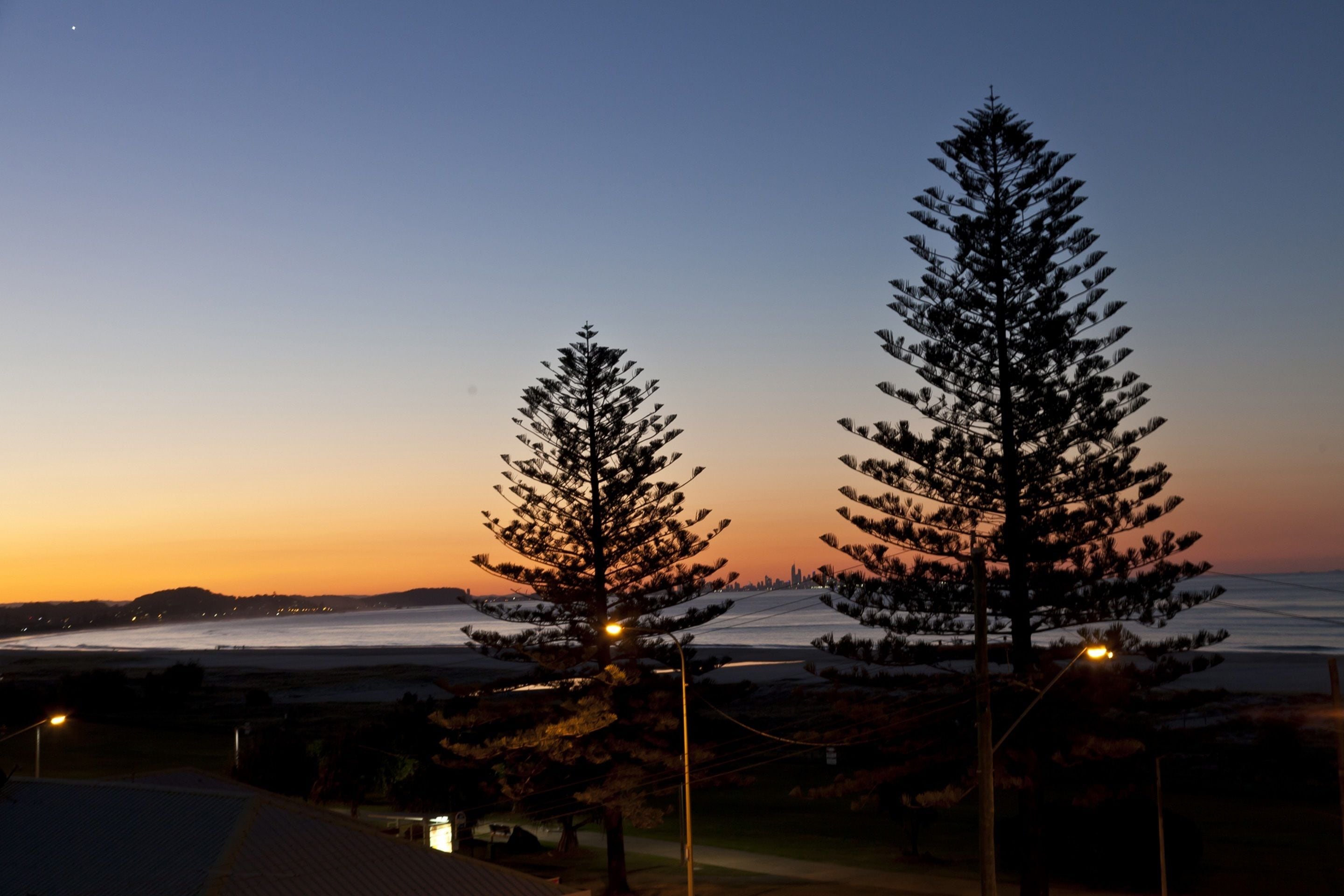 A view of two tall evergreen trees with a sunset in the background.