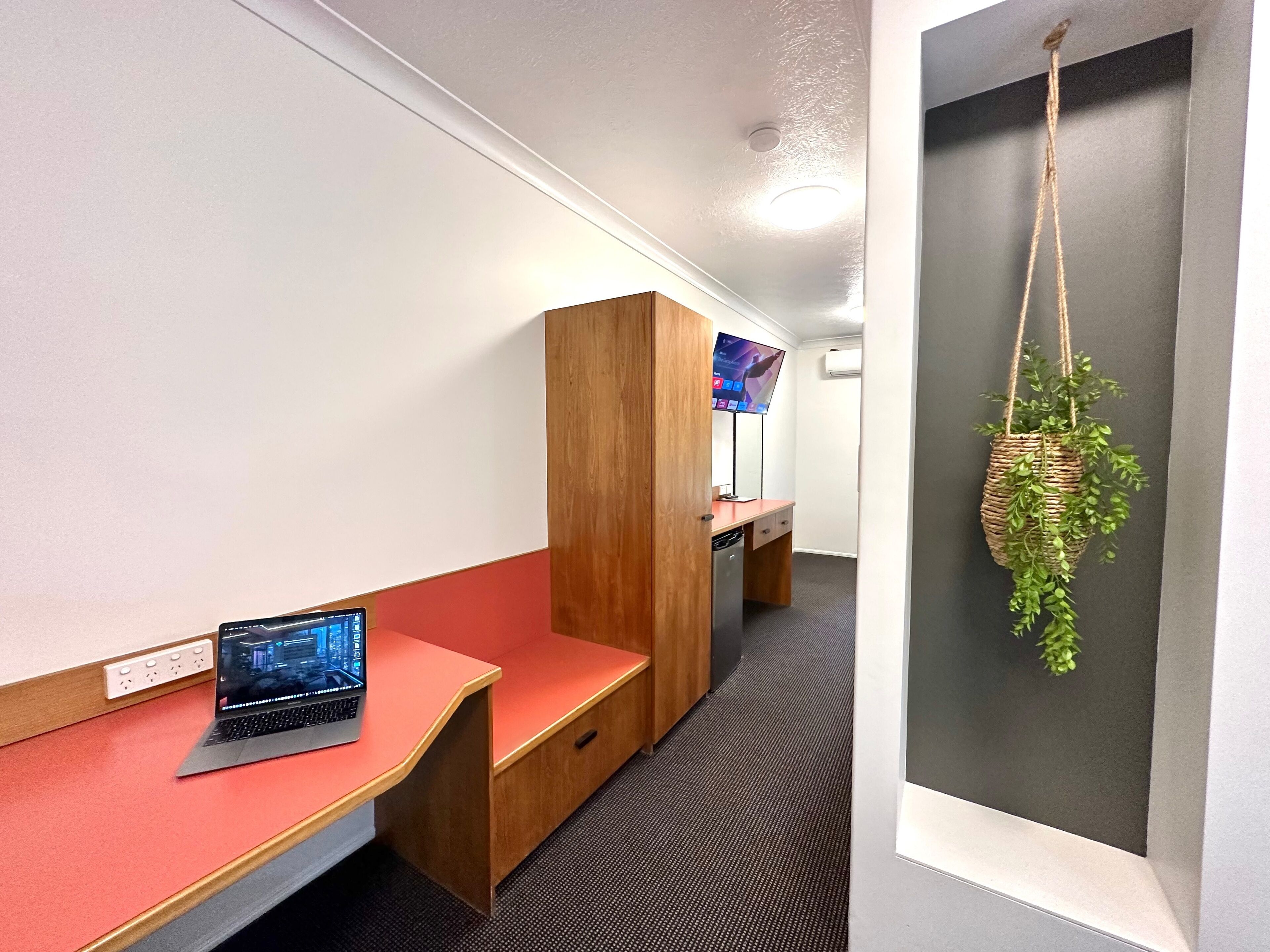 A hotel room with a desk, a laptop, a television, and a hanging plant.