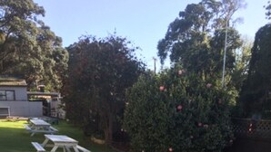Un espacio al aire libre con césped, mesas de picnic y un edificio al fondo.