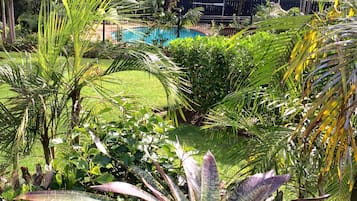 Tuin