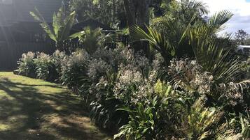 Deluxe-Apartment, 2 Schlafzimmer, zum Garten hin | Ausblick vom Zimmer