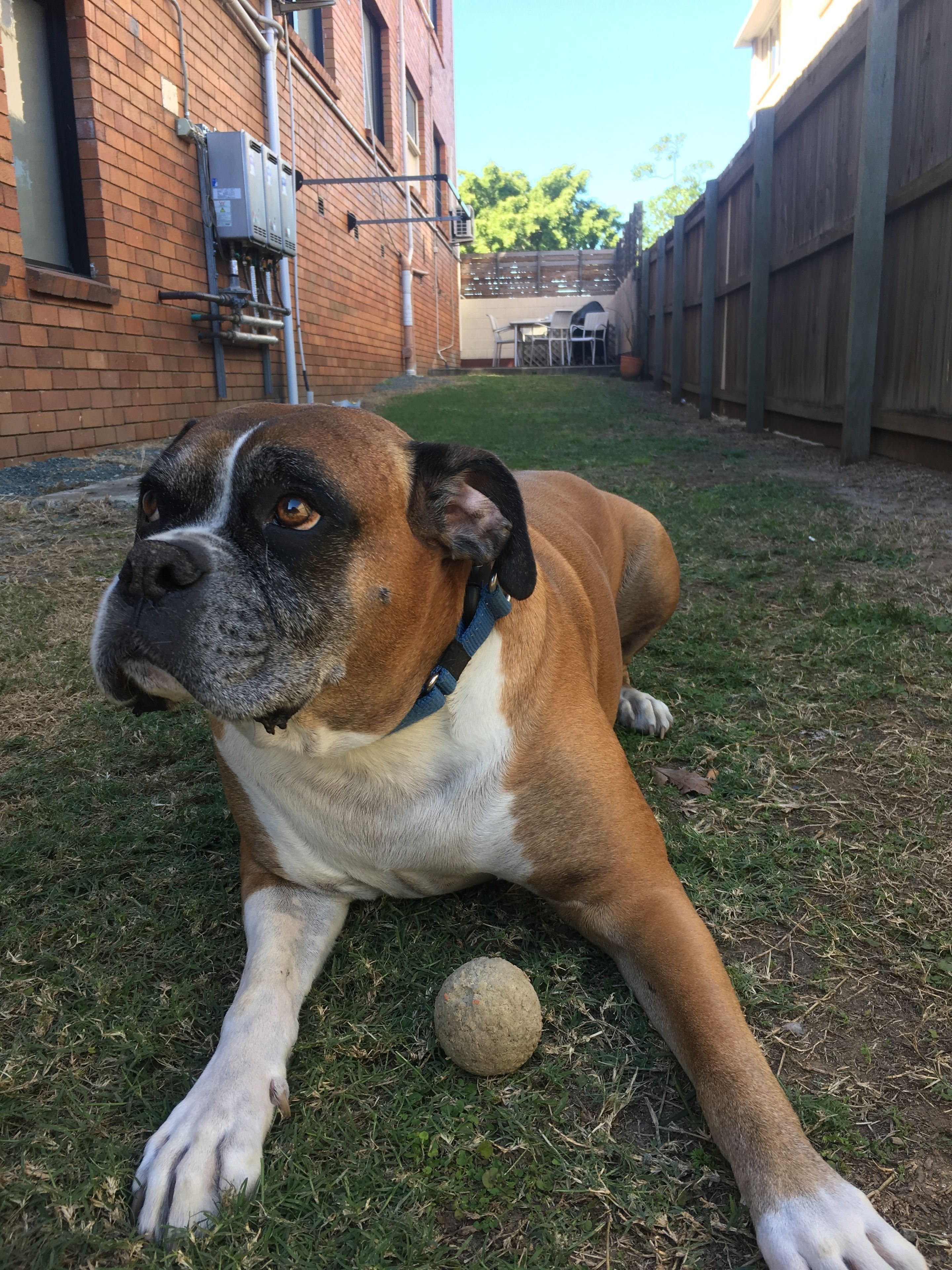 Foto - Kingsford Riverside Inn