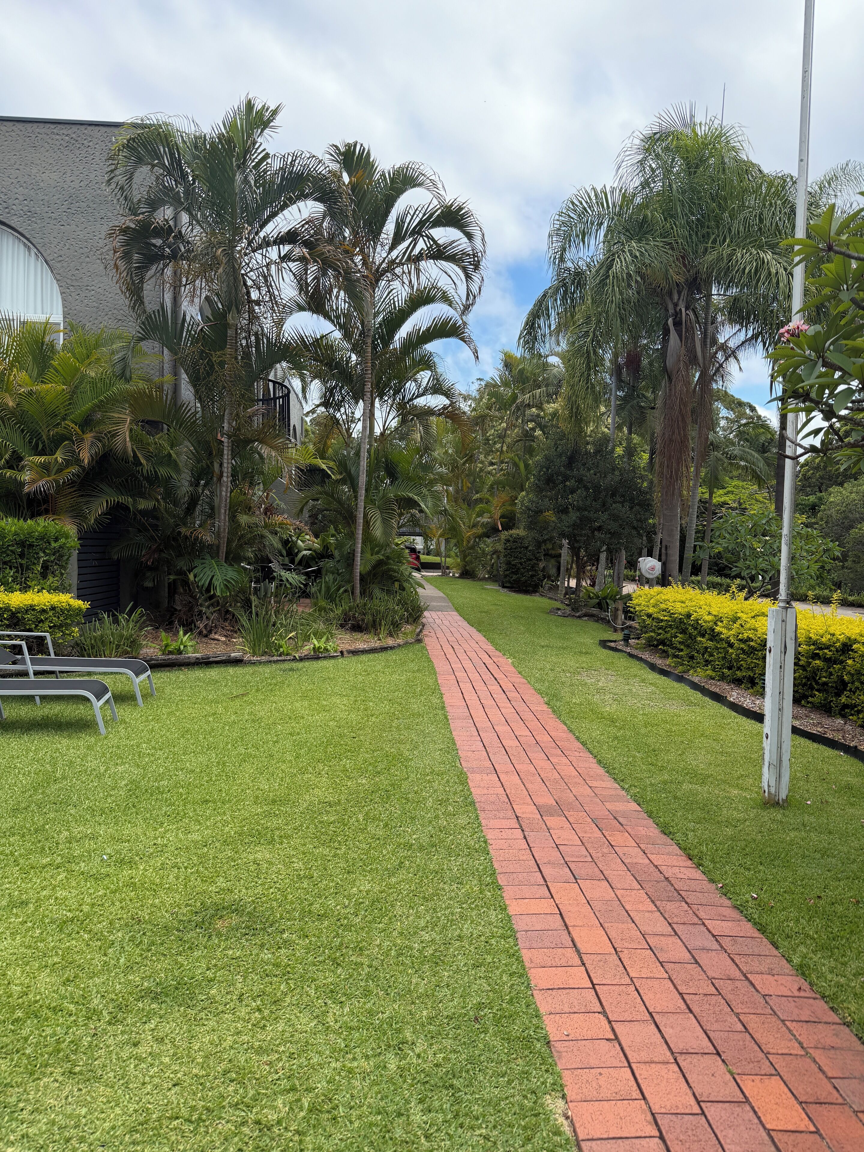 A pathway lined with palm trees and a brick walkway.