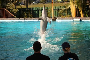 Point of interest - Korora Bay Village Resort (Korora)