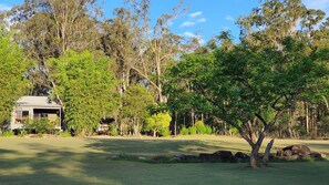 Utsikt fra overnattingsstedet