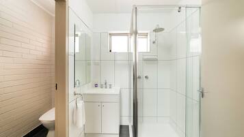 A modern bathroom with a glass shower enclosure, a white sink, and a toilet.