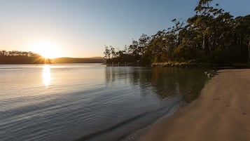 Enjoy a serene beach experience with calm waters and a natural boundary of trees.