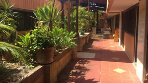 Un pasillo techado al aire libre con plantas en macetas y suelo de baldosas.