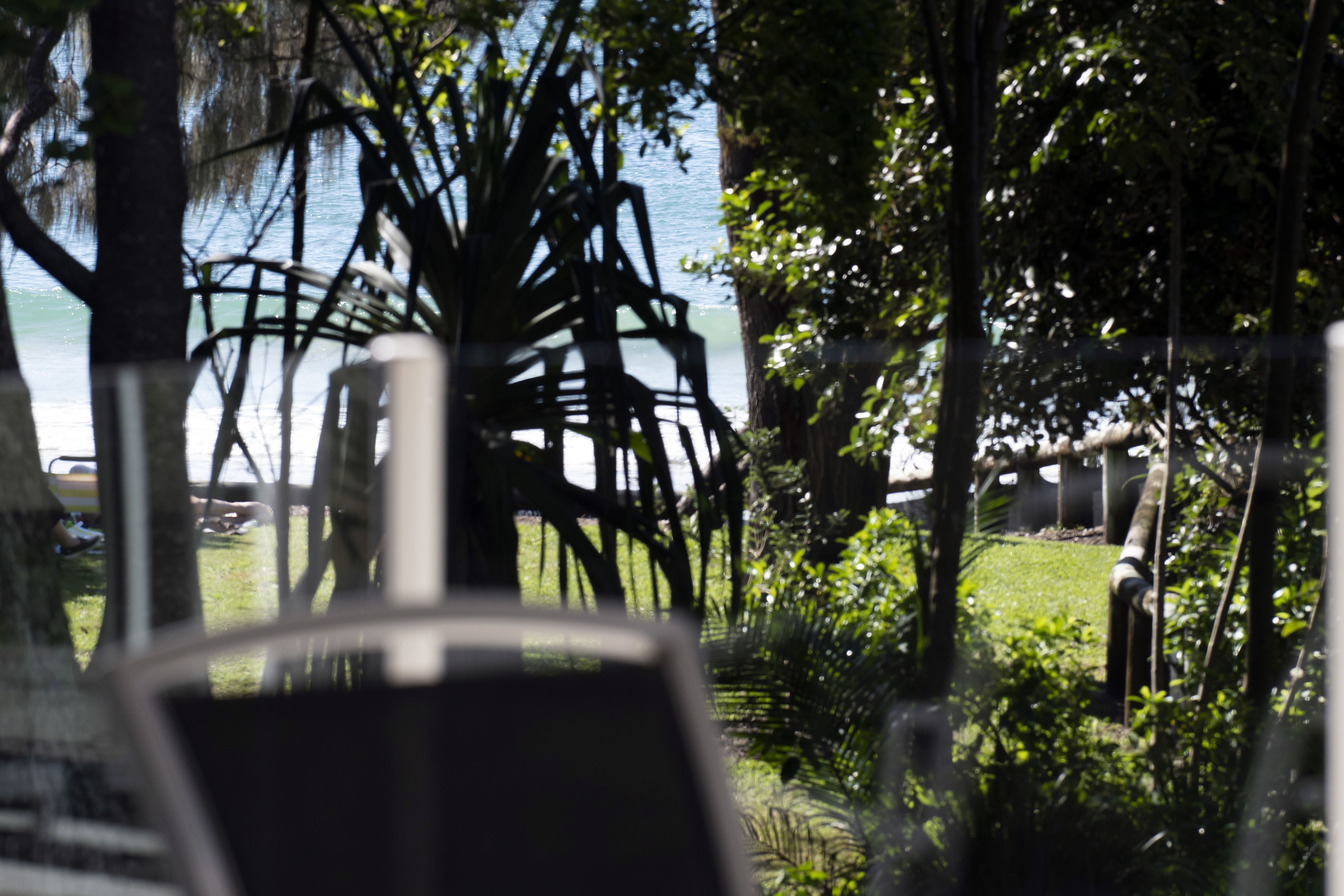 A view of a garden area with trees and a metal structure, likely a pergola, in the background.