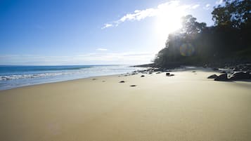 Plage, parasols