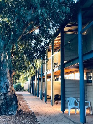 A covered outdoor area with a brick pathway, wooden benches, and white plastic chairs under a canopy of trees. - Pelican's Nest (Kalbarri)