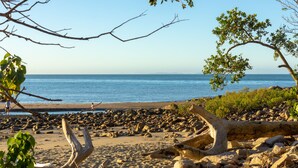 Una playa rocosa con vista despejada al océano y un árbol en primer plano.