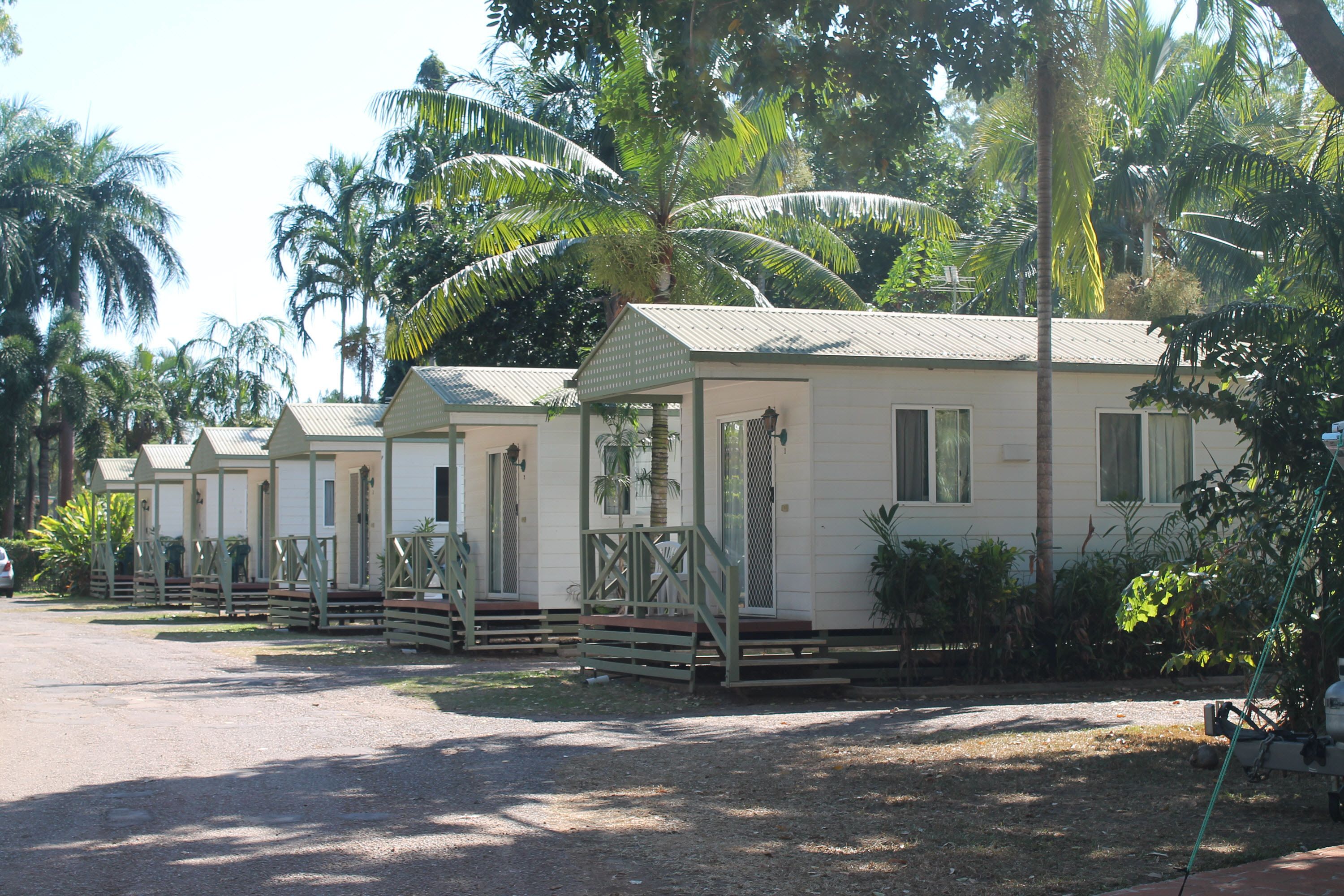 A row of single-story mobile homes with a simple design, surrounded by palm trees and greenery.