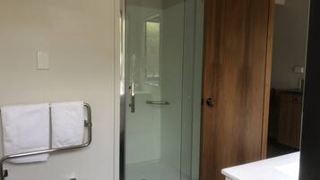 A modern bathroom with a glass shower enclosure, a wooden door, and a white sink.
