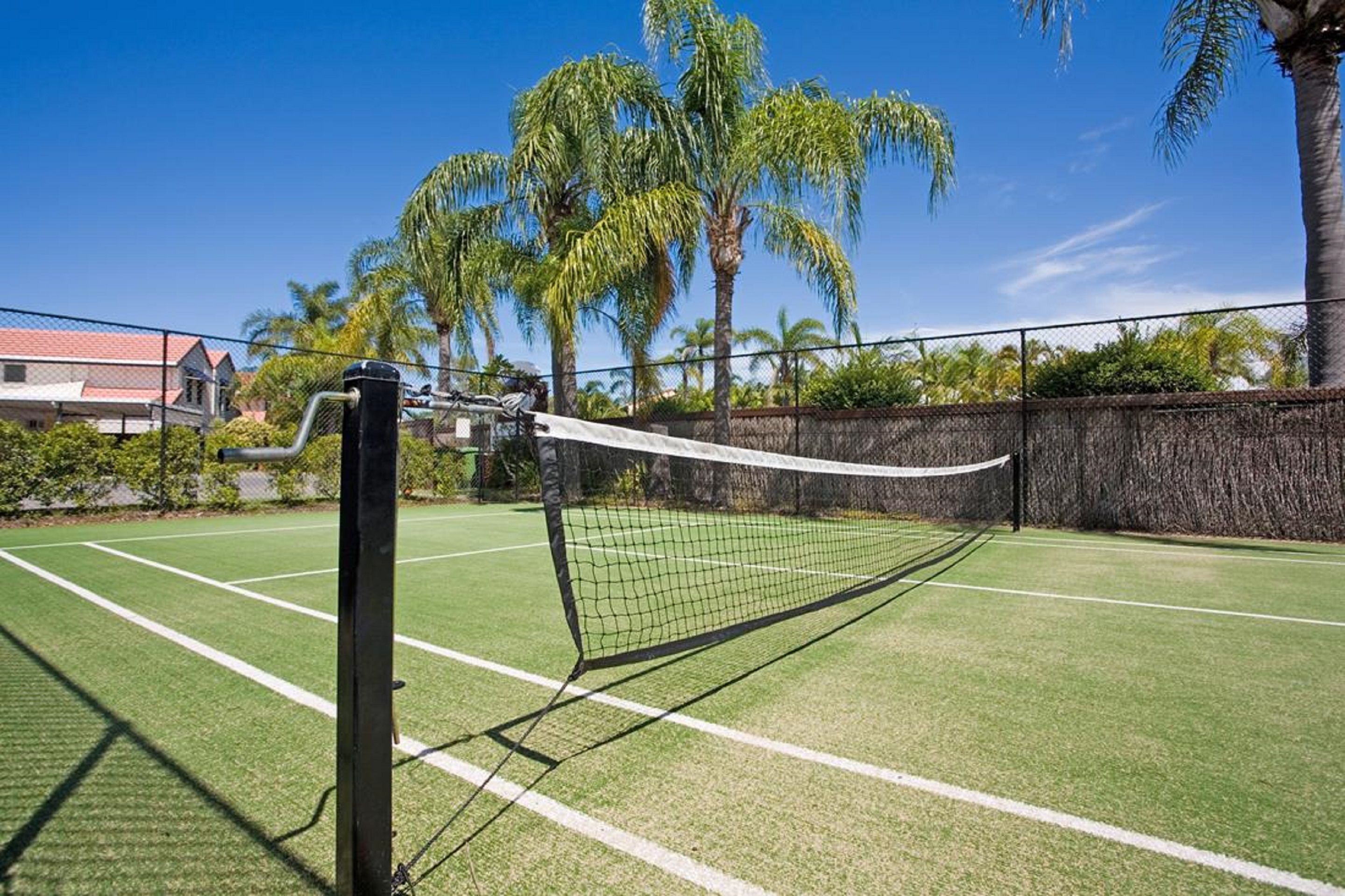 Een tennisbaan met een net, omgeven door palmbomen en een hek.