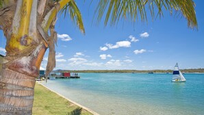 A clear view of a beach with a palm tree, a dock, and a sailboat on the water. - Munna Beach Apartments (Noosaville)