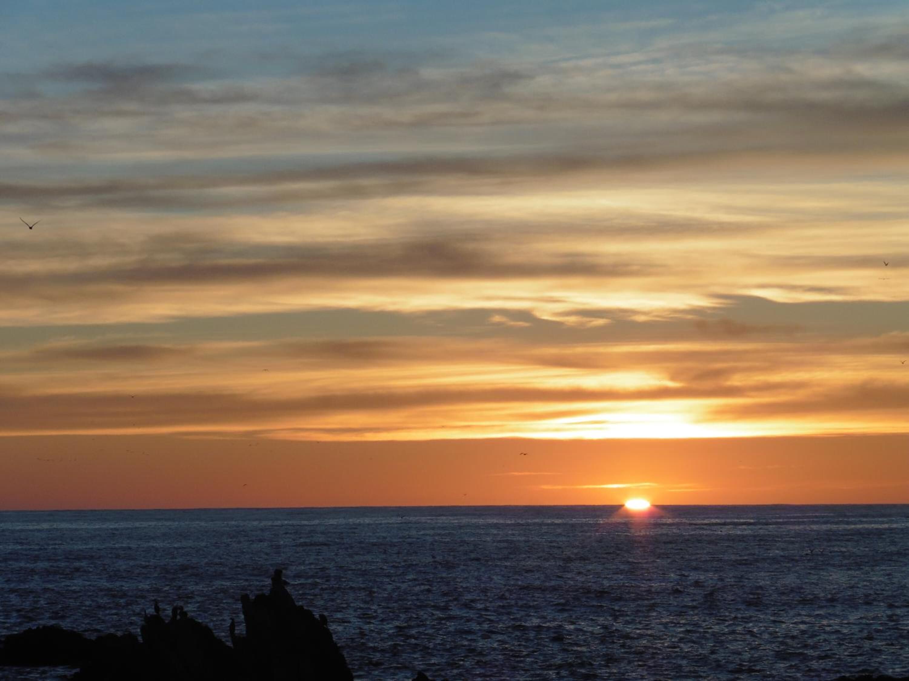 Atardecer sobre el océano con siluetas de rocas y algunas aves.
