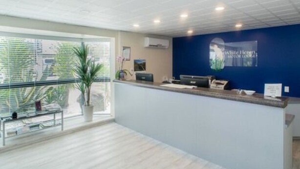 A reception area with a blue wall, a reception desk, and a window with blinds. - White Heron Motor Lodge (Gisborne)