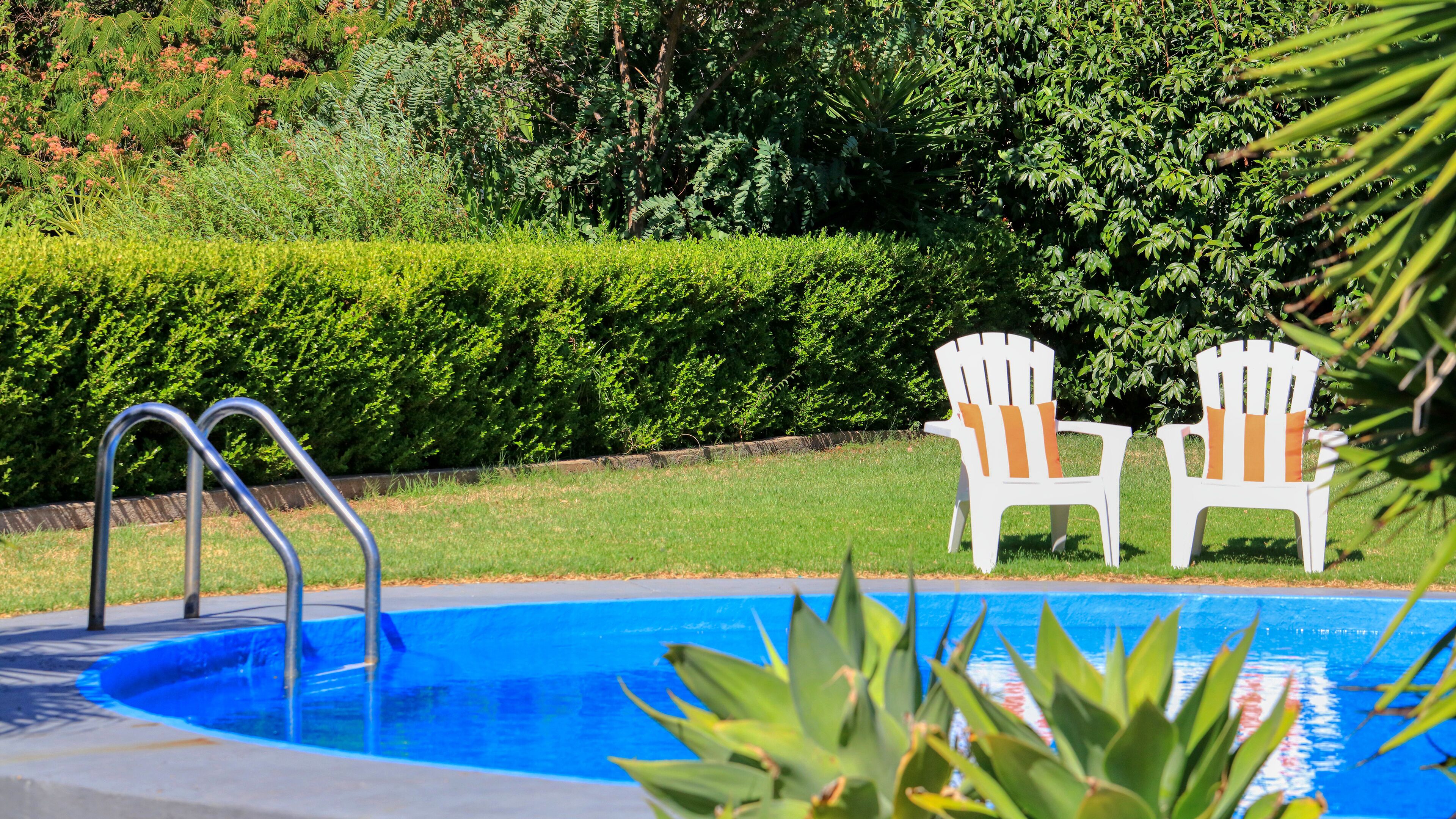 A swimming pool with two white chairs with orange cushions, surrounded by greenery.