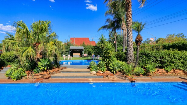A swimming pool surrounded by tropical plants and palm trees, with a building in the background.