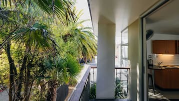 First Floor One Bedroom Apartment | Terrace/patio