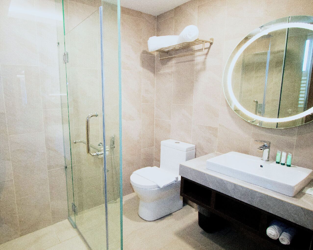 A modern bathroom with a glass shower enclosure, a toilet, a sink with a mirror, and a towel rack.