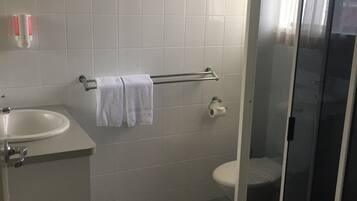 A bathroom with a sink, toilet, and shower.