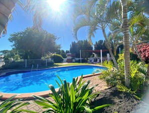 A swimming pool surrounded by tropical plants and a fenced area. - Bundaberg Spanish Motor Inn (Bundaberg West)