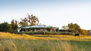 A house with a large lawn and a cow grazing. - Rosby Guesthouse (Eurunderee)