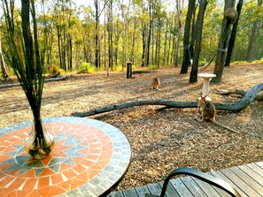 Lyxigt dubbelrum - 1 queensize-säng - rökare - utsikt mot dalen (Luxury Eco-Tent) | Terrass/Patio