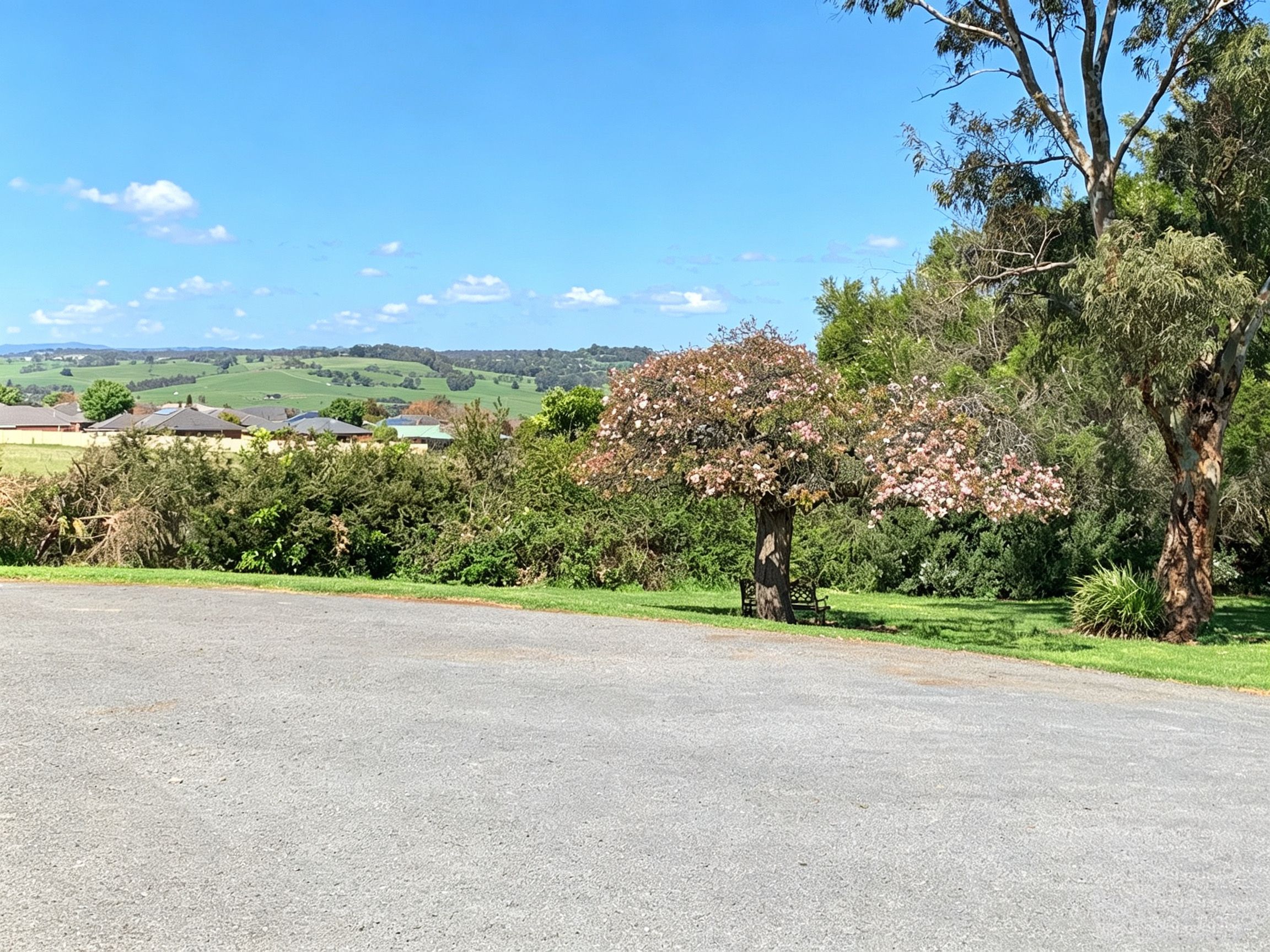 A paved road with a grassy area and a tree with pink blossoms.