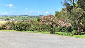 Une route asphaltée bordée d’une pelouse et d’un arbre aux fleurs roses.