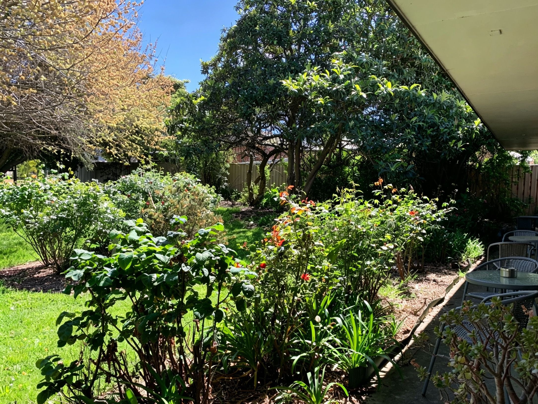 En have med forskellige planter og en terrasse med udendørs møbler.