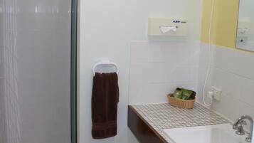 Un baño con ducha, lavabo y espejo.