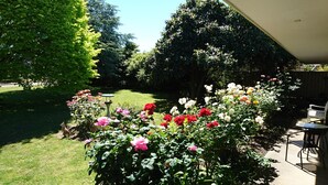 A garden with various flowers and a birdbath. There is a lawn and a wooden fence in the background.