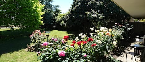 Parco della struttura