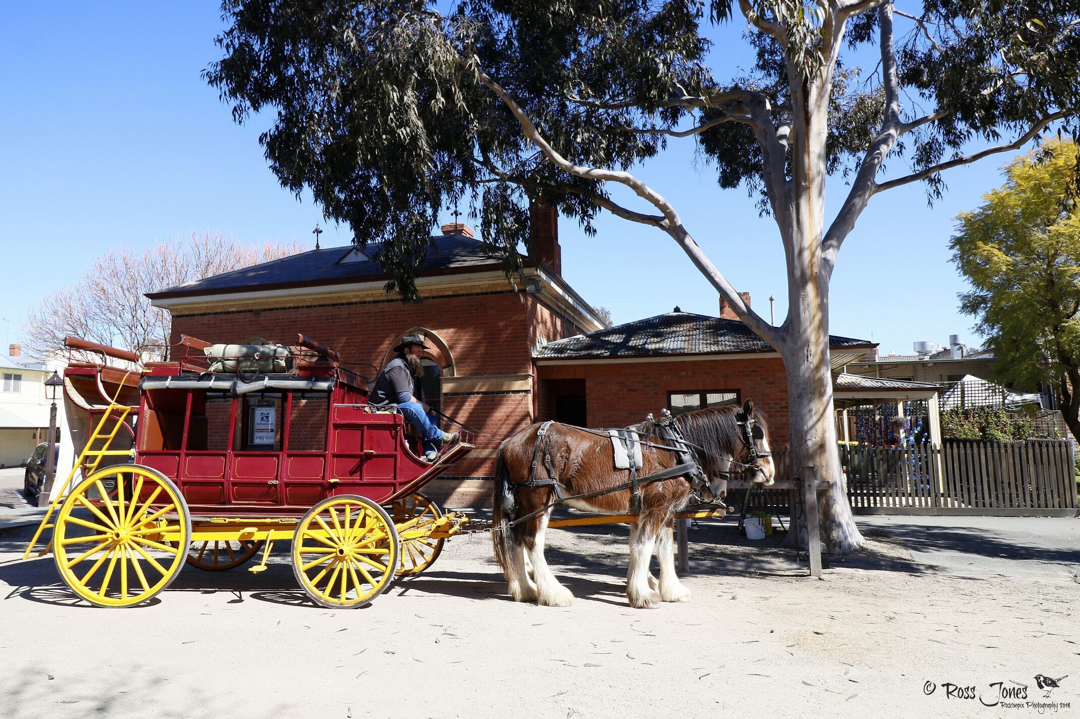 Un carruaje tirado por caballos estacionado frente a un edificio de fachada de ladrillo.