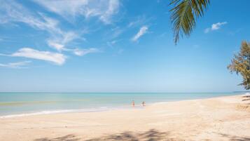 A beach with two people walking, clear skies, and a palm tree.