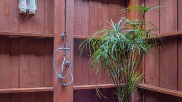 A wooden shower enclosure with a potted plant in the corner.