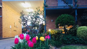 A garden with tulips in front of a building with a brick facade and a blue balcony. - The Vines Motel and Cottages (Stanthorpe)