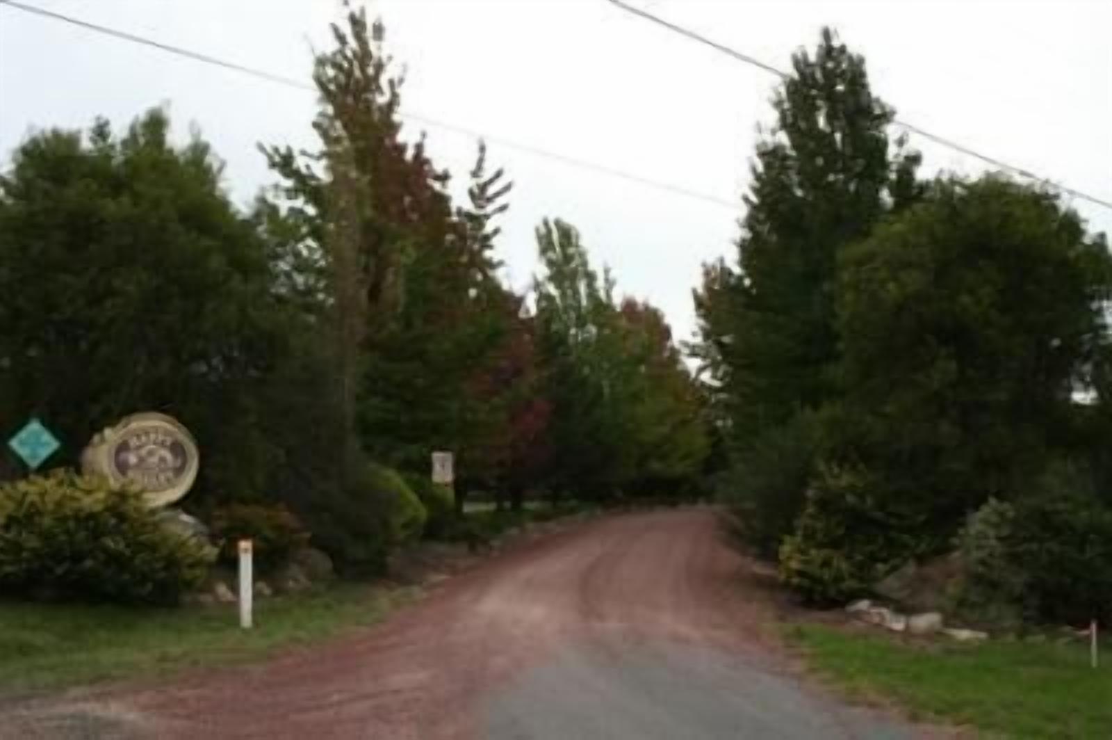 A rural road flanked by dense trees and a signpost.